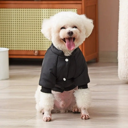Winter Windproof Dog Down Jacket Color-Blocked Warm Coat for Small Dogs Chihuahua Clothing - Annie Paw WearWinter OutwearAnniePaw Wear