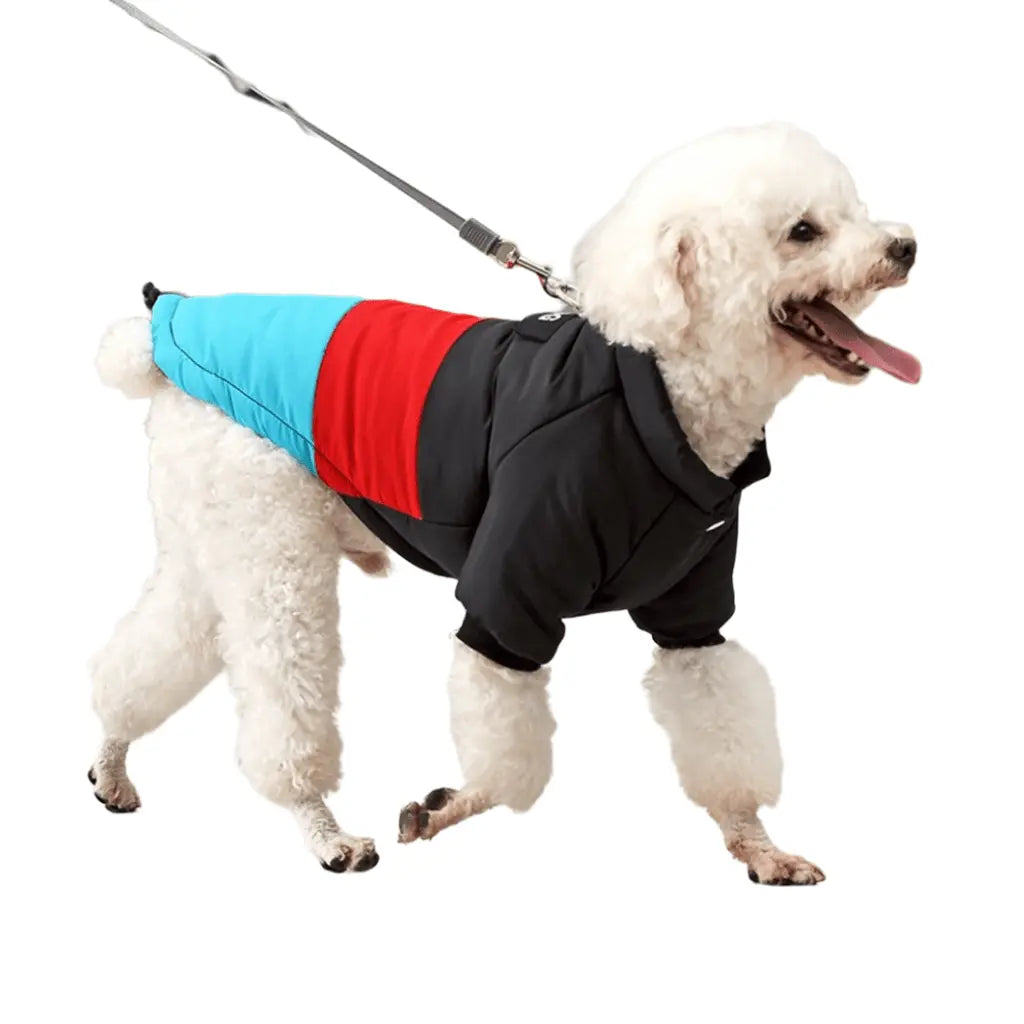 Winter Windproof Dog Down Jacket Color-Blocked Warm Coat for Small Dogs Chihuahua Clothing - Annie Paw WearWinter OutwearAnniePaw Wear