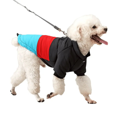 Winter Windproof Dog Down Jacket Color-Blocked Warm Coat for Small Dogs Chihuahua Clothing - Annie Paw WearWinter OutwearAnniePaw Wear