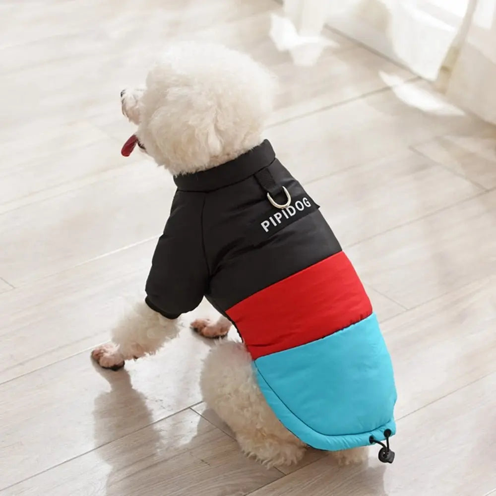 Winter Windproof Dog Down Jacket Color-Blocked Warm Coat for Small Dogs Chihuahua Clothing - Annie Paw WearWinter OutwearAnniePaw Wear