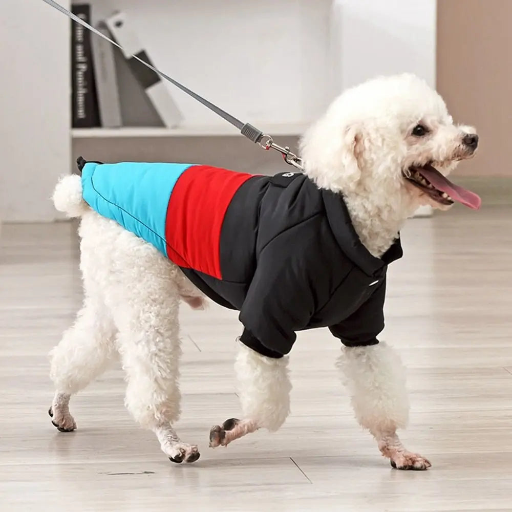 Winter Windproof Dog Down Jacket Color-Blocked Warm Coat for Small Dogs Chihuahua Clothing - Annie Paw WearWinter OutwearAnniePaw Wear