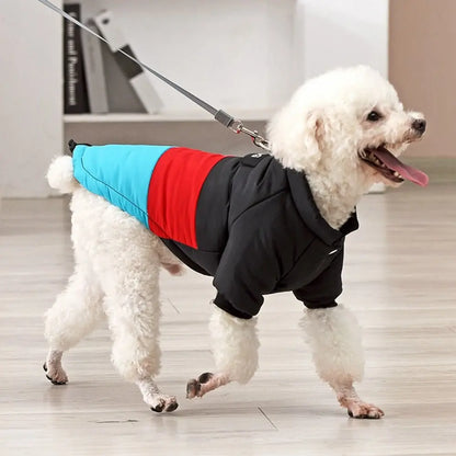 Winter Windproof Dog Down Jacket Color-Blocked Warm Coat for Small Dogs Chihuahua Clothing - Annie Paw WearWinter OutwearAnniePaw Wear