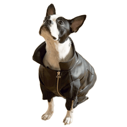 Zip-Leg Leather Handmade Jackets for Dogs Cats - Annie Paw WearWinter OutwearAnniePaw Wear