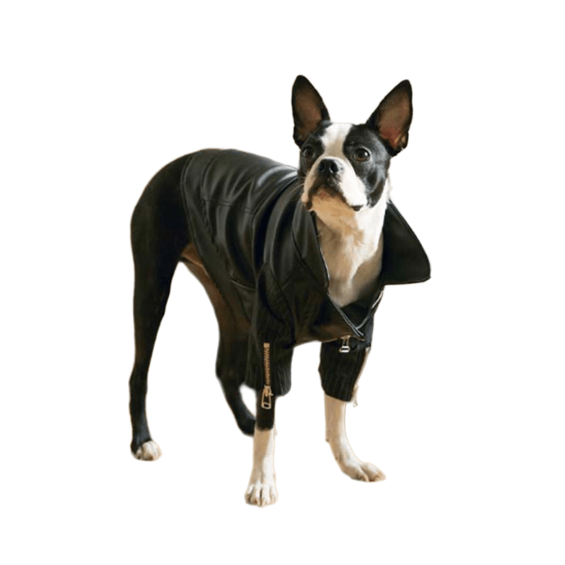 Zip-Leg Leather Handmade Jackets for Dogs Cats - Annie Paw WearWinter OutwearAnniePaw Wear