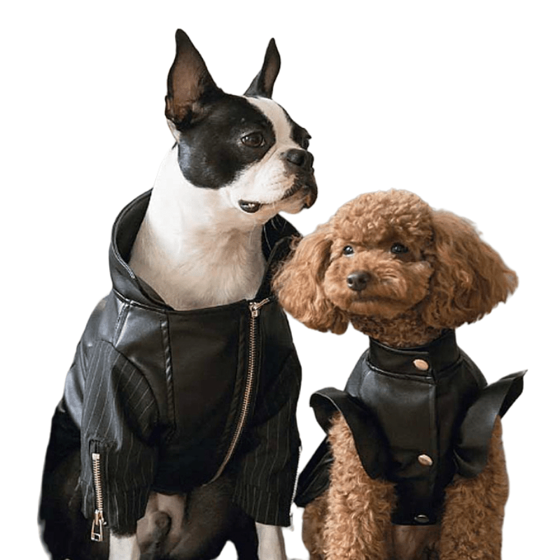 Zip-Leg Leather Handmade Jackets for Dogs Cats - Annie Paw WearWinter OutwearAnniePaw Wear